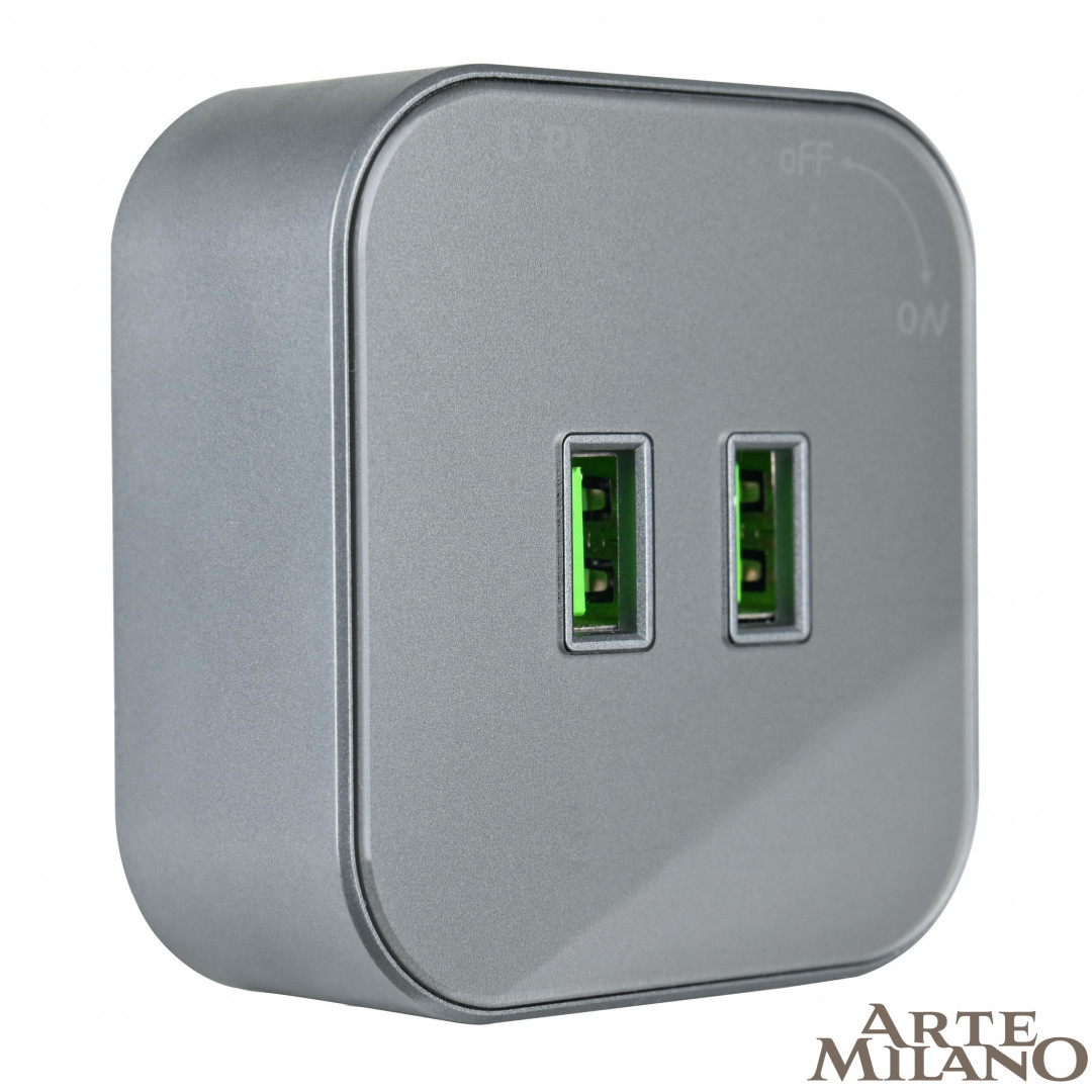 Трековая розетка Arte Milano track-sockets 380022TS/USBx2 Grey