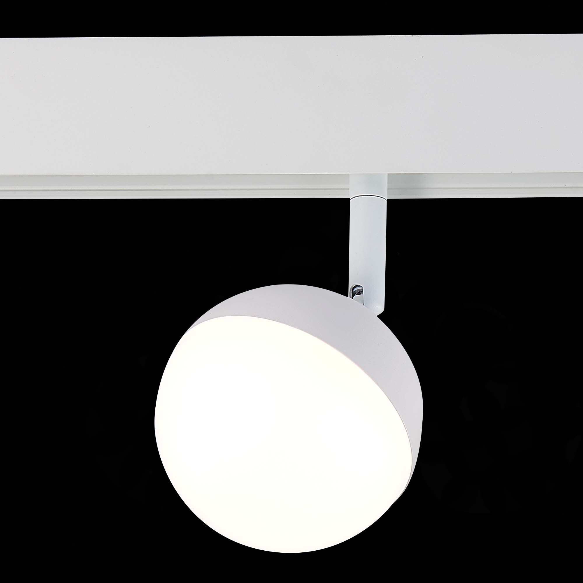 Магнитный трековый светильник ST Luce PIBOLE ST358.546.07