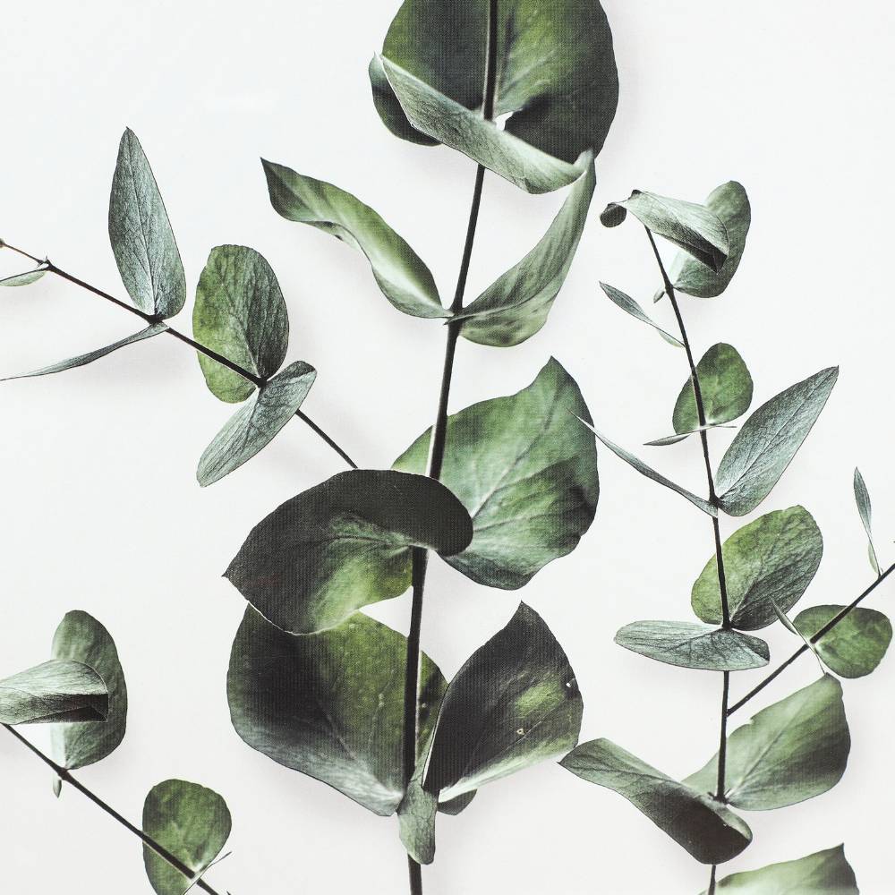 Картина Eglo Living ROBERVAL 423043