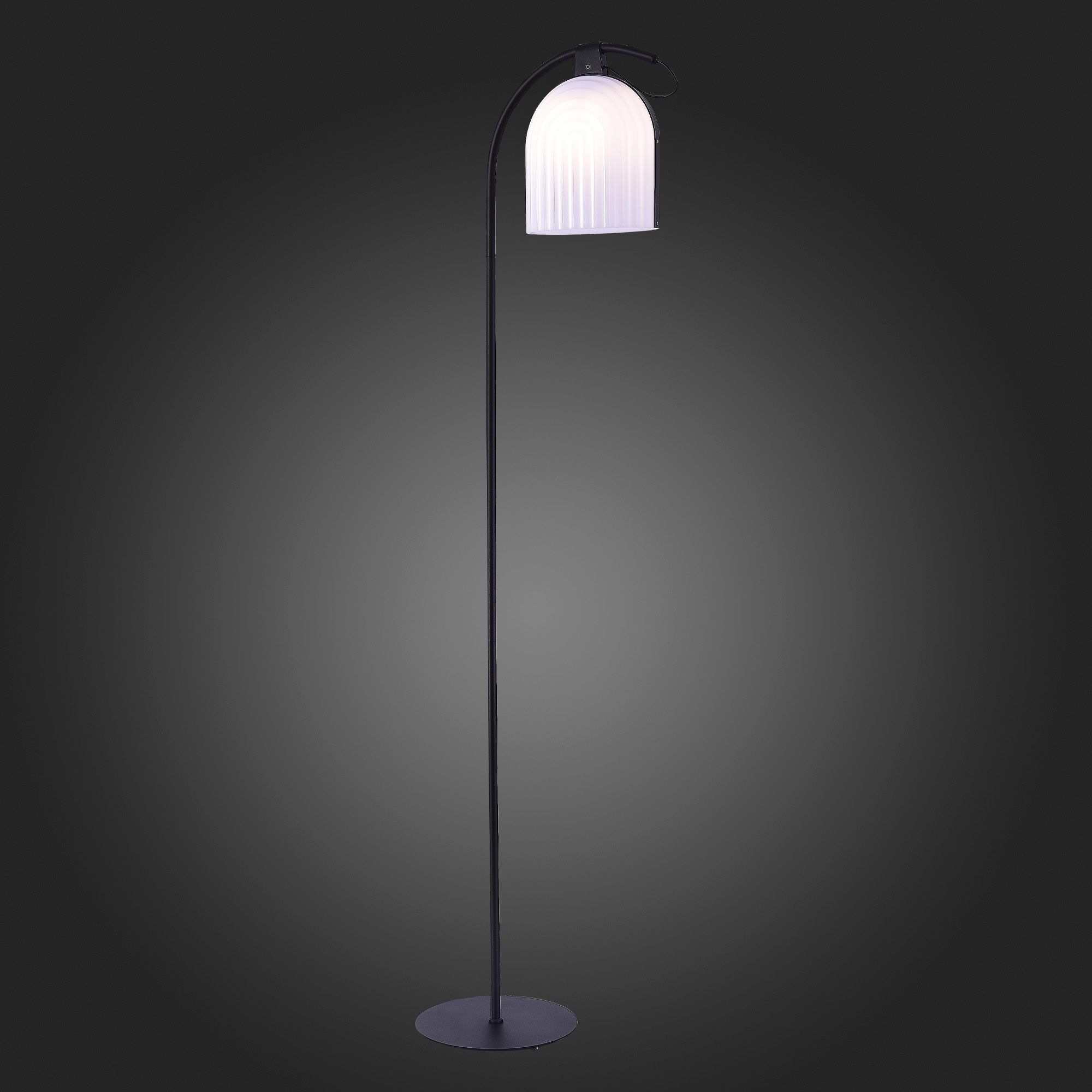 Торшер ST LUCE SL1302.405.01