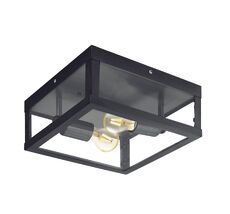 Уличный настенно-потолочный светильник Alamonte 94832