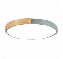 Потолочный светильник Evoluce DELIA SLE201372-01