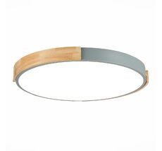 Потолочный светильник Evoluce DELIA SLE201372-01