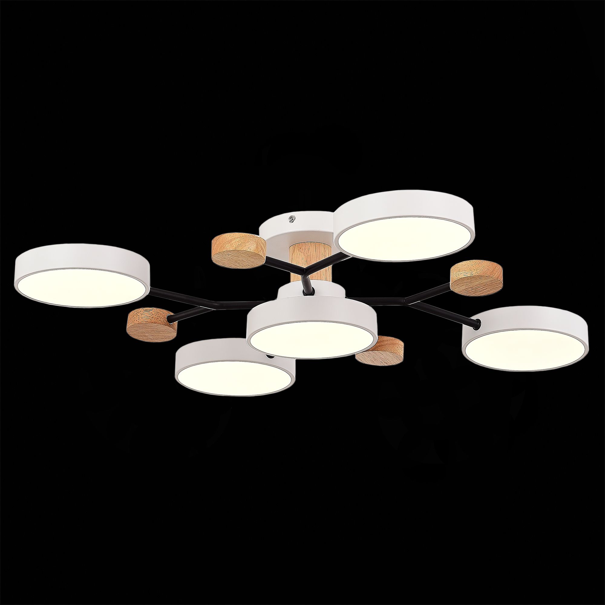 Потолочная люстра Evoluce FAEMA SLE6006-502-05