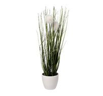 Алиум белый в горшке Garda Decor 8J-20RK0005-WH