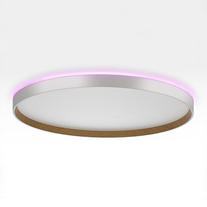 Потолочный светильник Citilux Etalon CL750500R