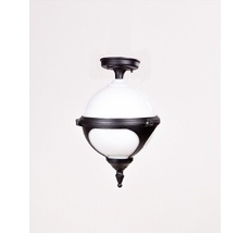 Потолочный светильник уличный IP44 Oasis Light 88405A Bl_OL