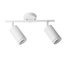 Потолочный светильник ArteLamp IMAI A2365PL-2WH