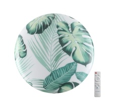 Настенно-потолочный светильник Sonex FLORI 7748/EL_Sonex