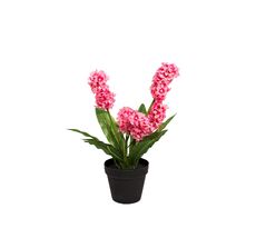 Гиацинт в горшочке Garda Decor 8J-K0013/1