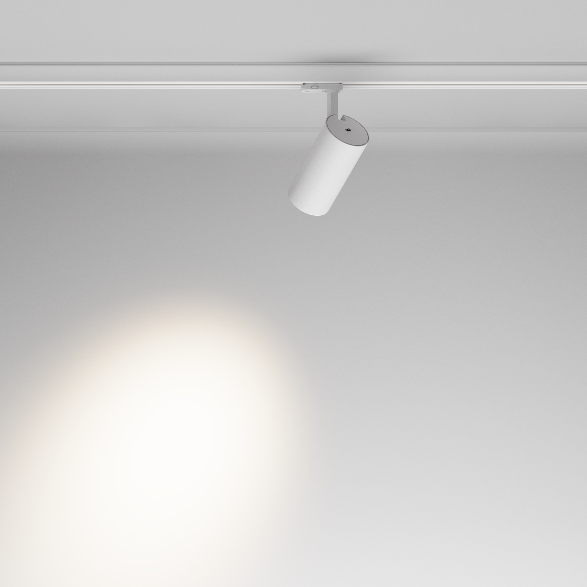 Трековый светильник трехфазный TRINITY Maytoni Focus Led TR197-3-30WCCT-M-W_MY