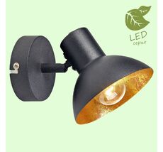 Спот Lussole LOUISVILLE GRLSP-9973