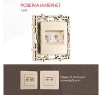 Розетка RJ45 х 2 Arte Milano 217.45-2.shampan