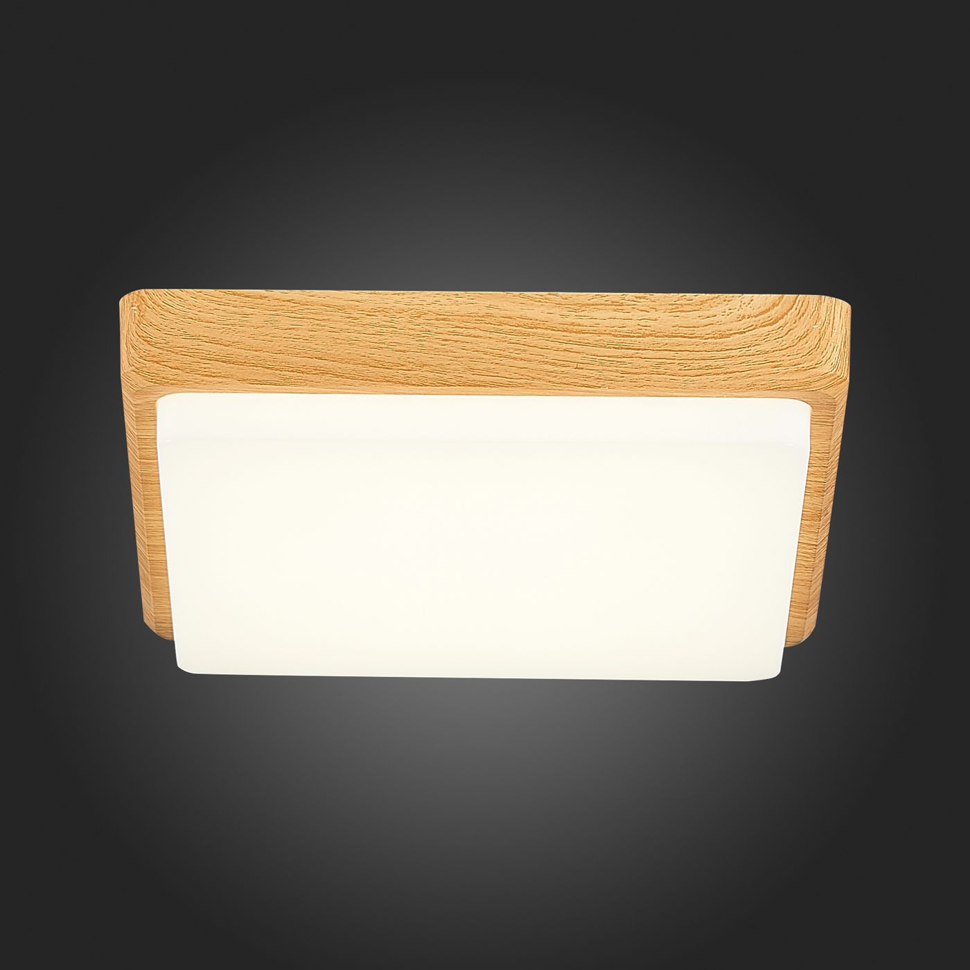 Потолочный светильник Evoluce TADDIO SLE200202-01