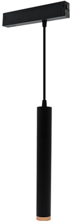 Cветильник светодиодный трековый магнитный 220V Aployt APL.0207.00.10