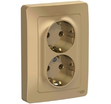 Розетка встраиваемая двойная с заземлением (титан) Systeme Electric BLNRS001024