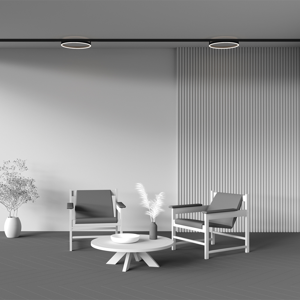 Трековый светильник Maytoni Rim TR227-2-24W4K-B_MY