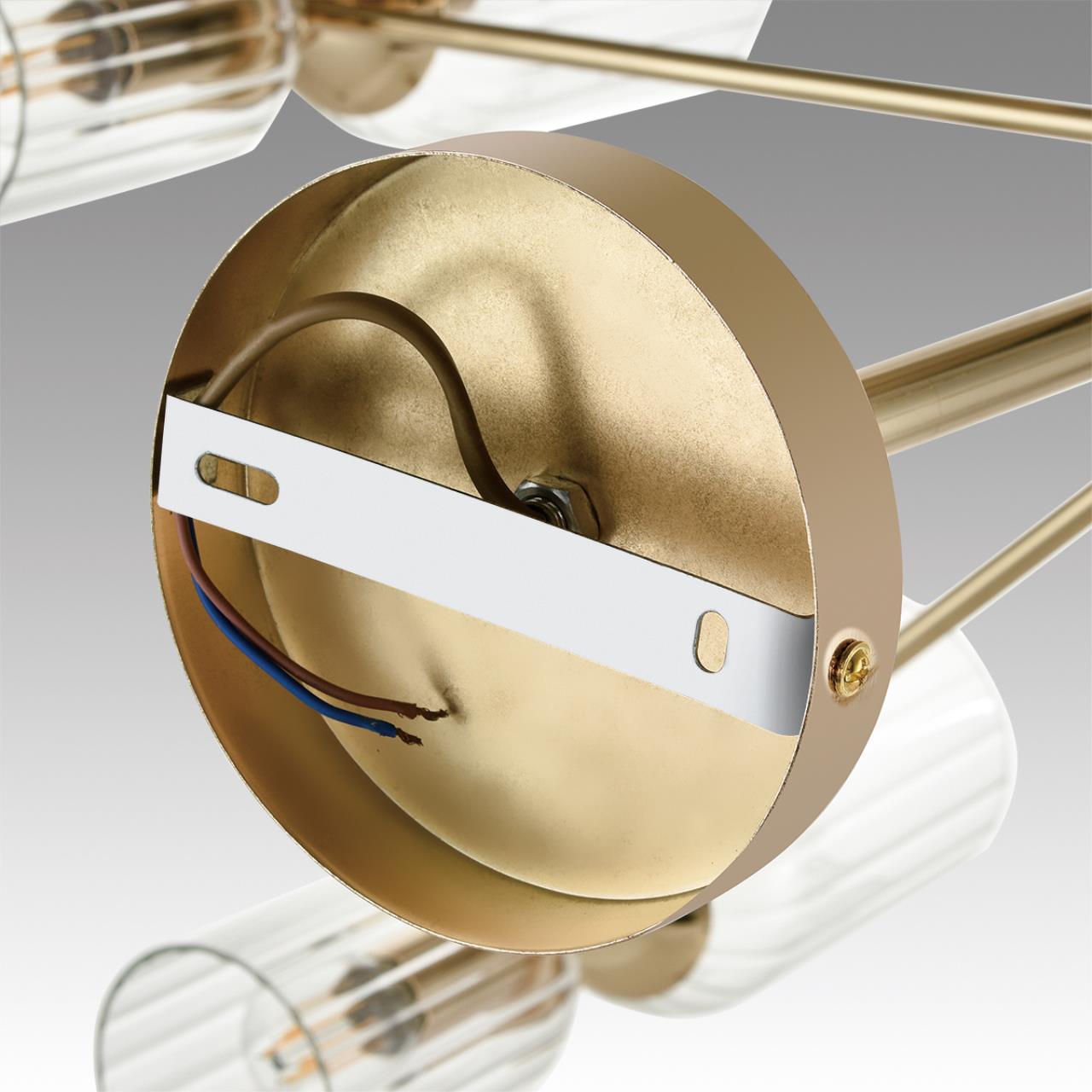 Подвесная люстра Lumion KASSIA 6586/16