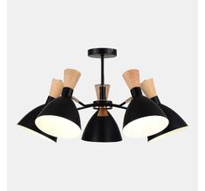 Потолочная люстра EVOLUCE SIERRA SLE1256-402-05