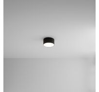 Потолочный светильник Arte Lamp FADO A6612PL-1BK