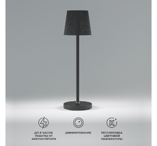 Уличный напольный светильник с аккумулятором, регулировкой цветовой температуры и яркости Elektrostandard Mist a063970_ES