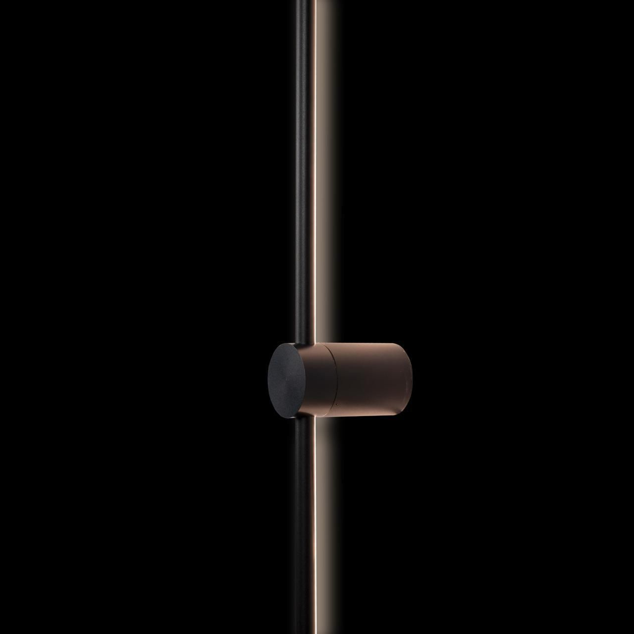 Настенный светильник Loft IT Rays 10053BK_LF