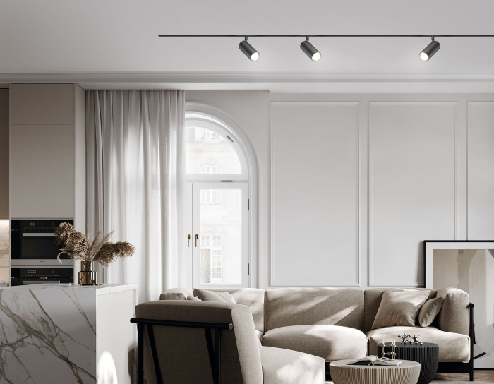 Трековый светильник магнитный светодиодный 3CCT 3000K-6000K 18W 48V Ambrella GL2310_AMB