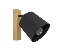 Спот Eglo COTORRO 900434