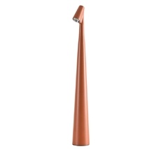 Настольная лампа Arte Lamp FUSION A3283LT-2BR