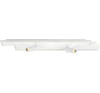 Настенно-потолочный светодиодный светильник Escada 20047SMA/02LED WH_ESC