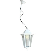 Уличный светильник подвесной IP44 Feron 11059_FR