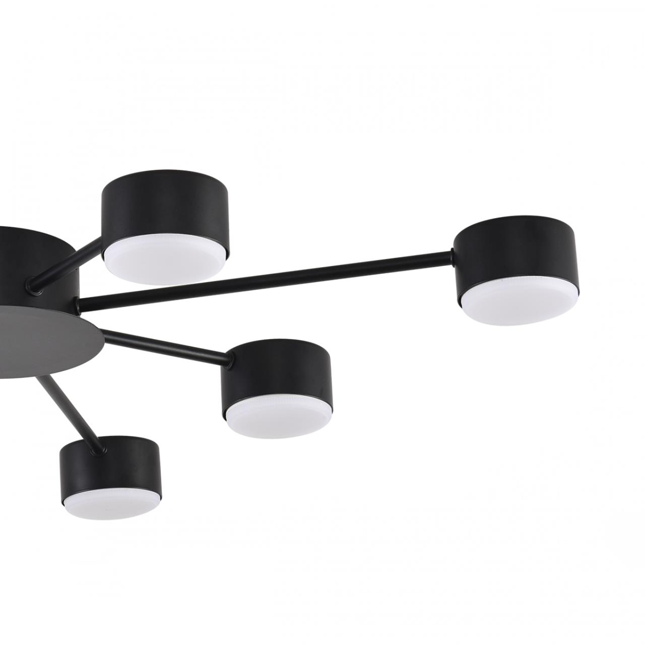 Потолочная люстра LUMION TORINA 8344/8C