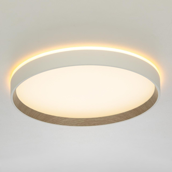 Потолочный светильник Citilux Etalon CL750320R