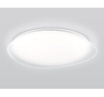 Потолочный светильник RGB с пультом управления Ambrella Light ORBITAL Dance FZ1615_AMB