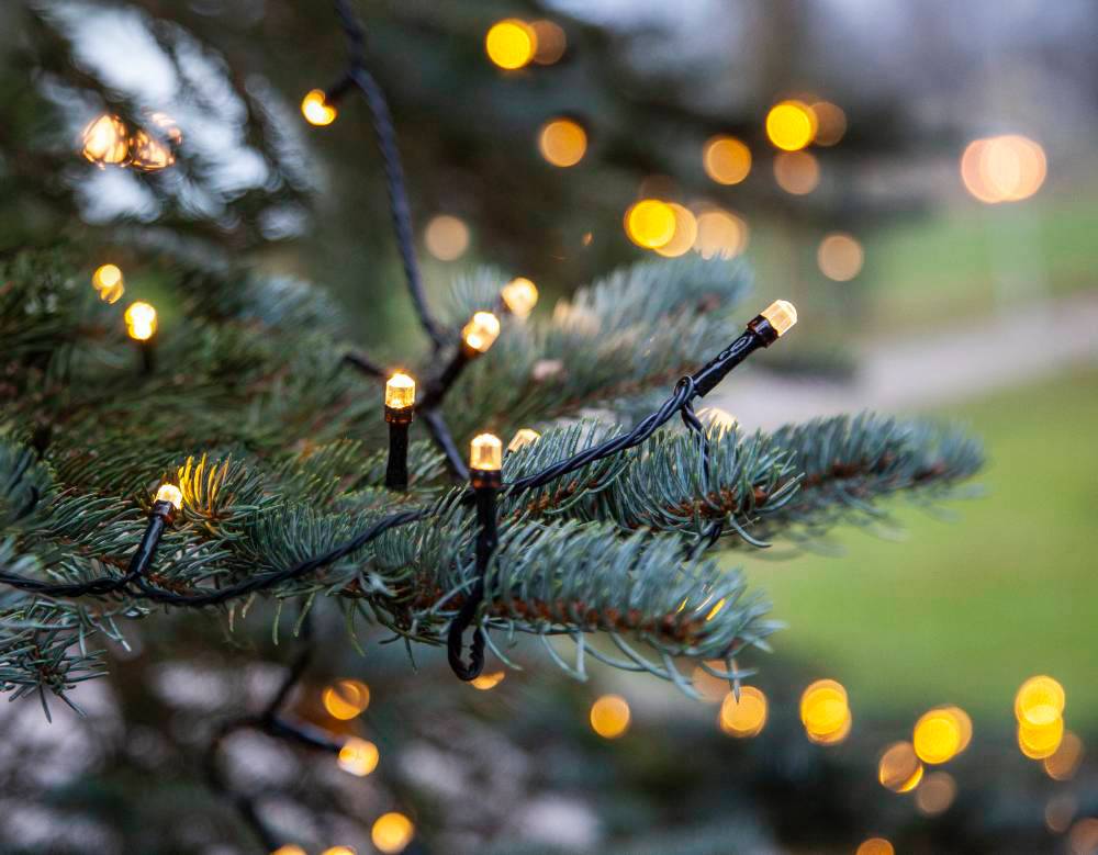 Светодиодная елочная гирлянда Eglo DIAMOND STAR LIGHT 411334