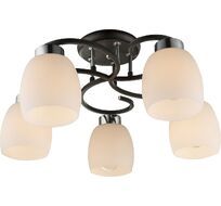 Потолочная люстра Globo Schwarz 69018-5_GL