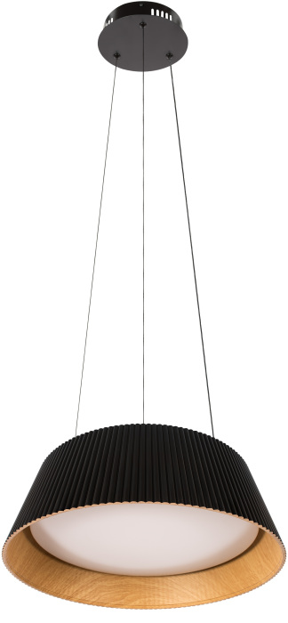 Подвесной светильник LOFT IT Evans 10224P Black_LF