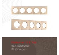 Рамка из поликарбоната на 5 постов Arte Milano 502.04-5.shampan