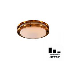 Потолочный светильник CitiLux Бостон CL709203N