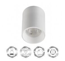 Накладной светильник Denkirs DK3110-WH