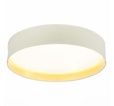 Потолочный светильник Evoluce BRESCIA SLE300552-01