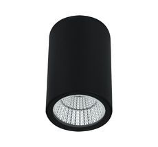 Уличный потолочный светильник Arte Lamp TORCULAR A1807PF-1BK