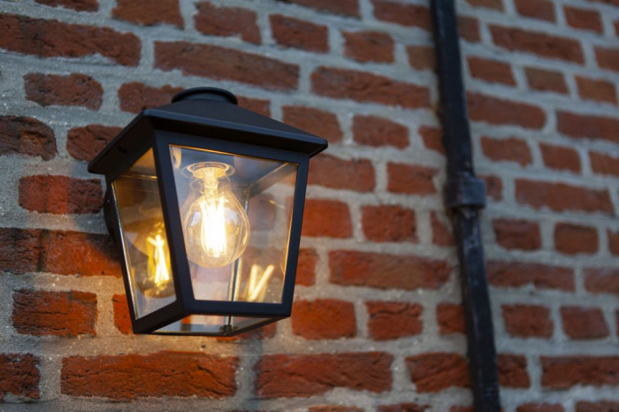 Настенный светильник уличный IP44 Oasis Light 2945 Bl_OL