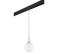Трековый светильник подвесной Lightstar Globo PRO813033_LS