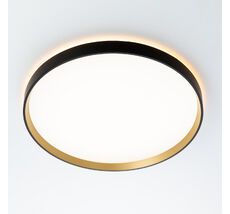 Потолочный светильник CitiLux ETALON CL750401R