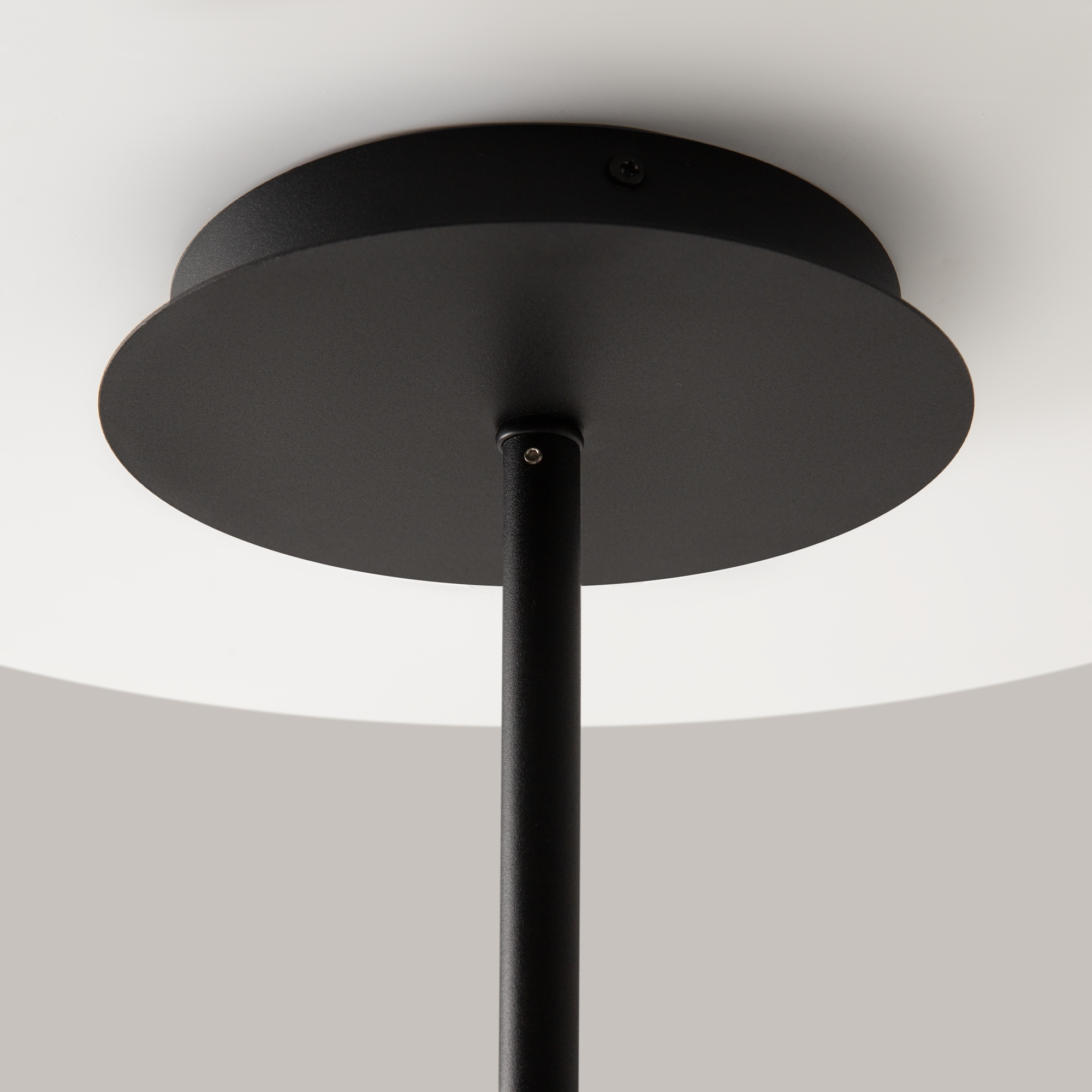 Потолочная люстра Maytoni Mollis MOD126PL-08B_MY