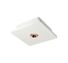 Накладной светильник Loft IT Architect OL1072-WG/1_LF