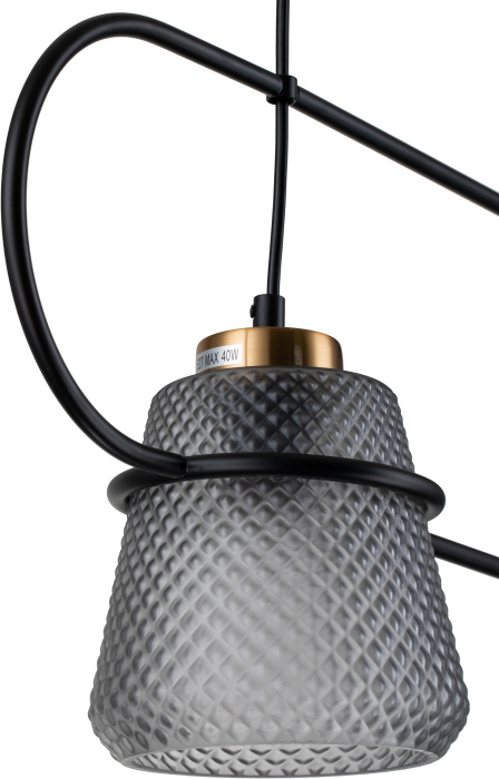 Подвесной светильник (11016/2P Black) Indigo V000157