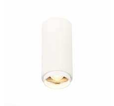 Потолочный светильник ST Luce Zoom ST600.532.10