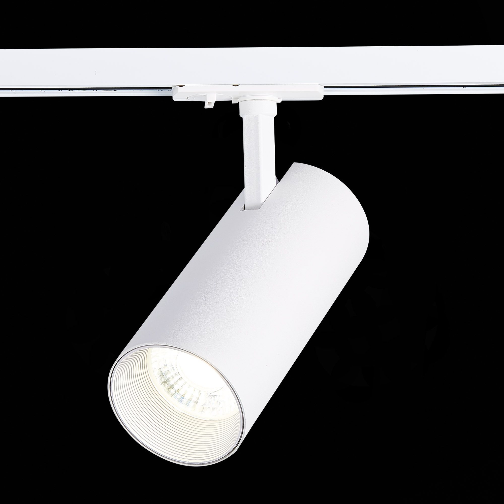 Трековый светильник ST Luce однофазный MONO ST350.546.30.36